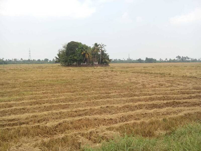 Photo of Others in Alappuzha