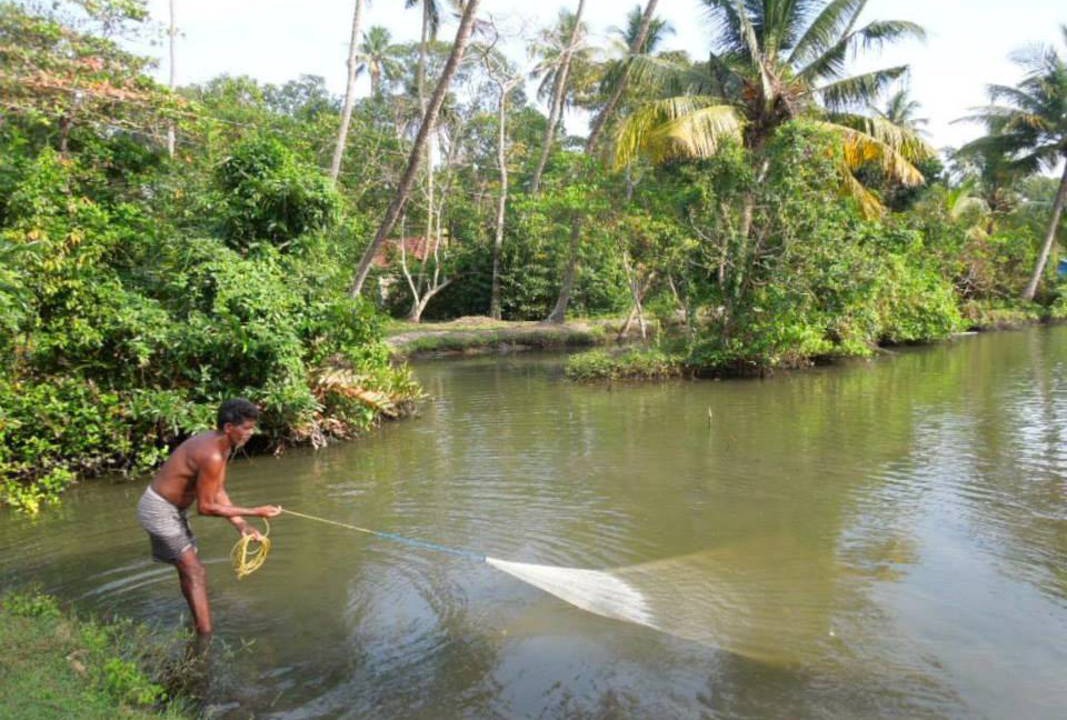 Photo of Others in Kumbalam