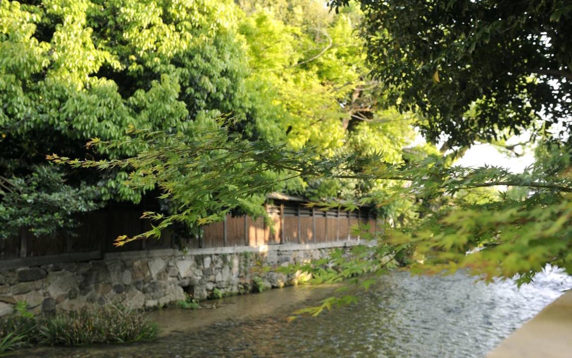 Photo of Others in Horiikecho