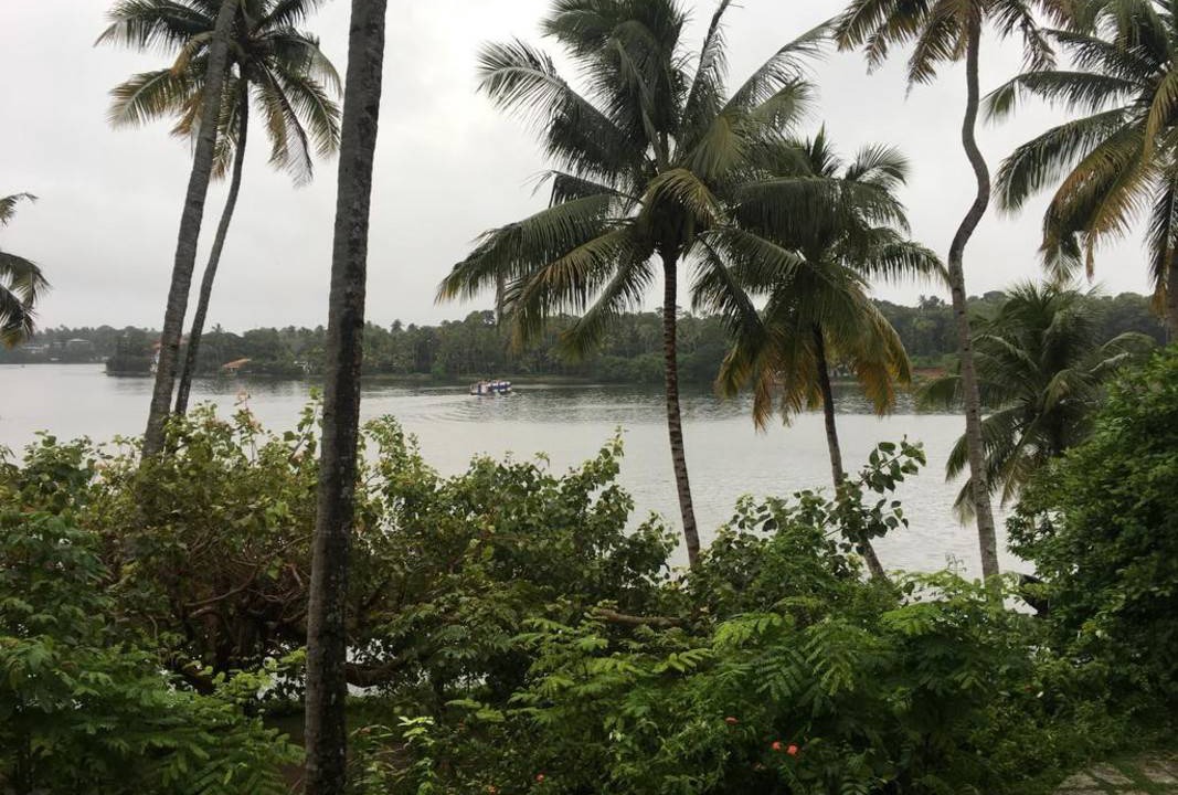Photo of Others in Munroe Island
