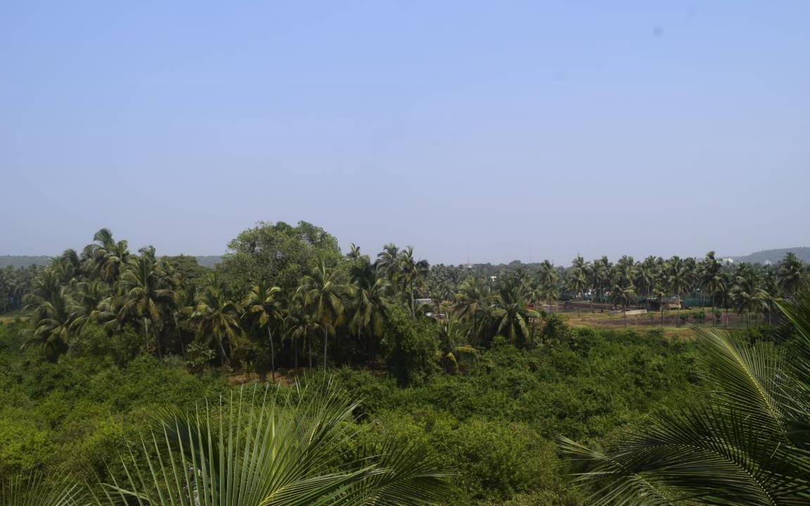 Photo of Others in Arambol