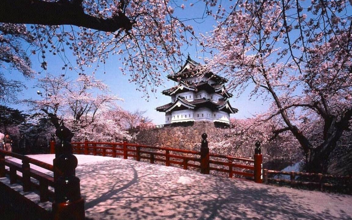 Photo of Others in Kyobashi