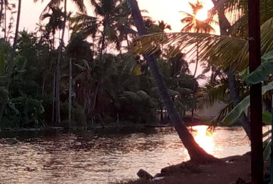 Photo of Others in Alappuzha