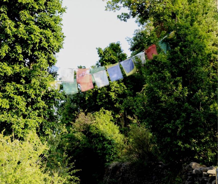 Photo of Others in Kanatal