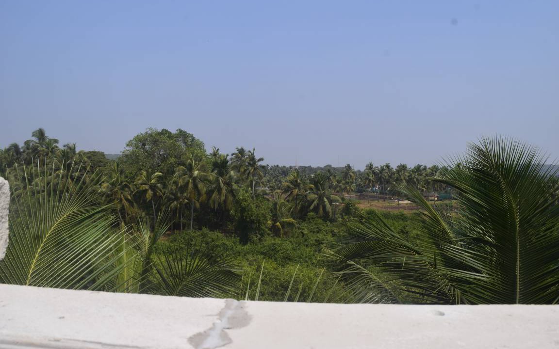 Photo of Others in Arambol