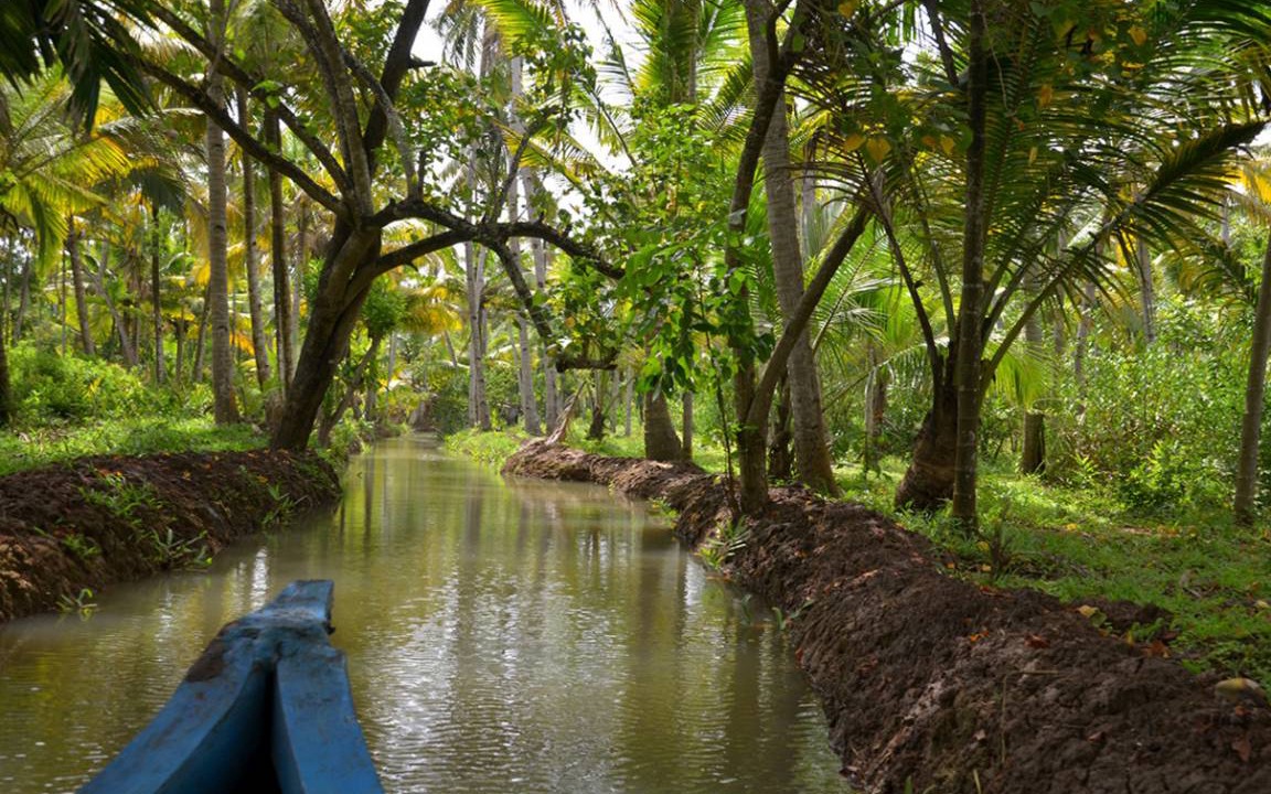 Photo of Others in Munroe Island