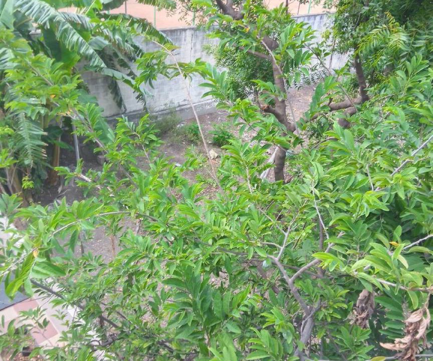 Photo of Others in Coimbatore