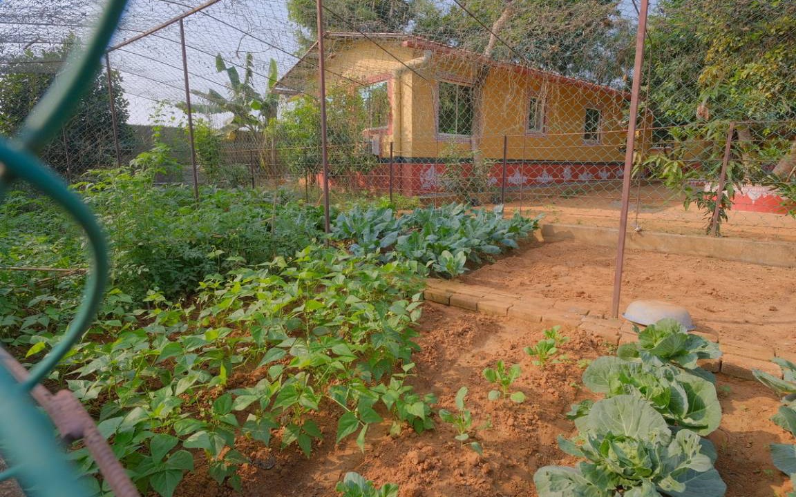 Photo of Others in Chandaka