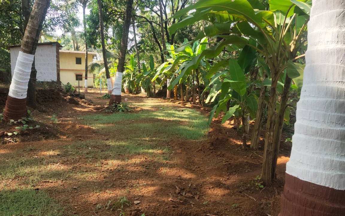 Photo of Others in Anjanvel