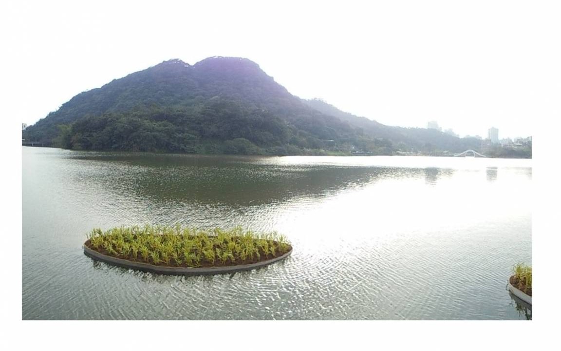 Photo of Others in Neihu