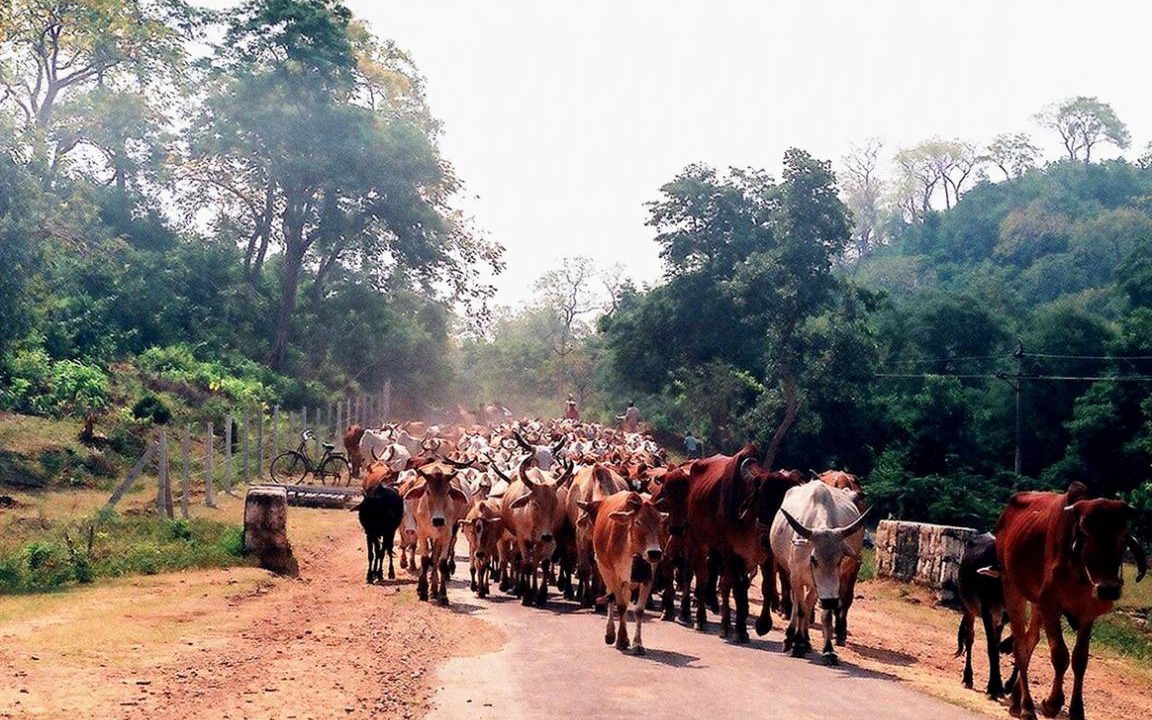 Photo of Others in Cuttack