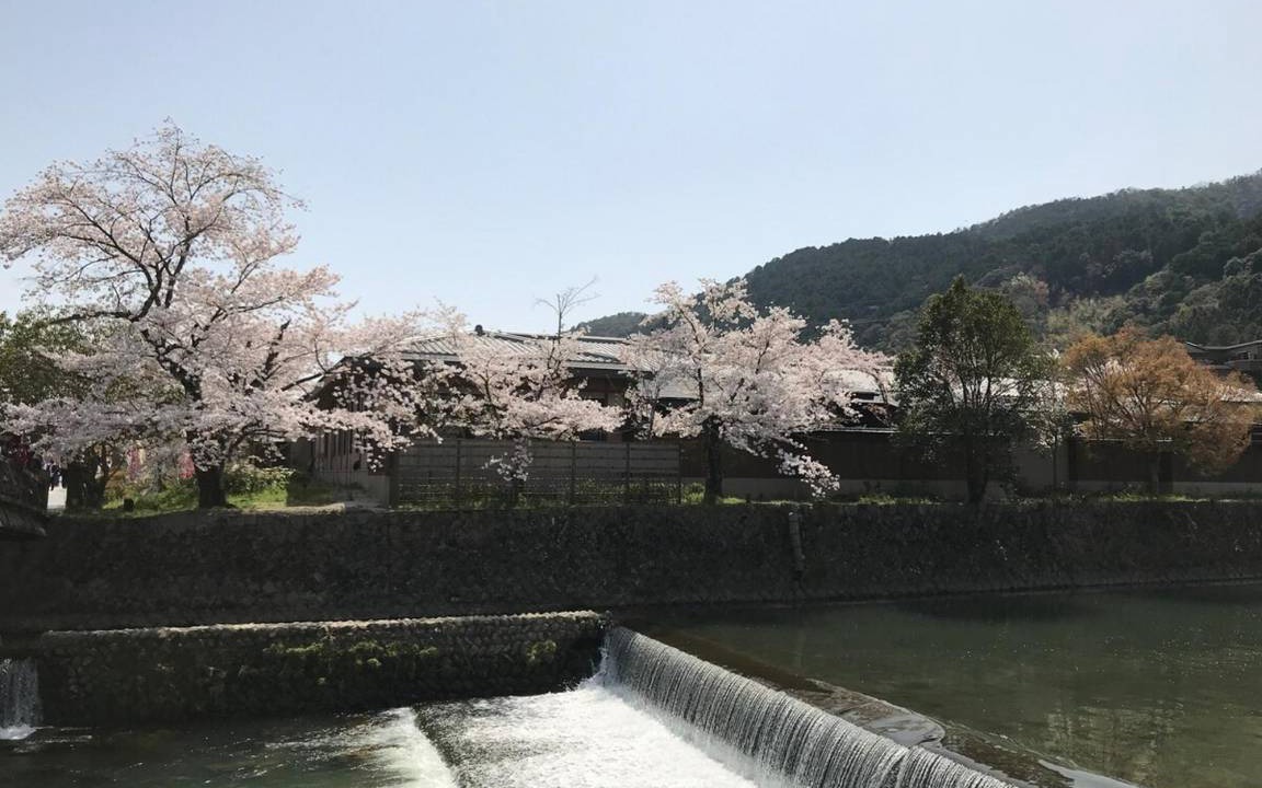 Photo of Others in Nishikyo