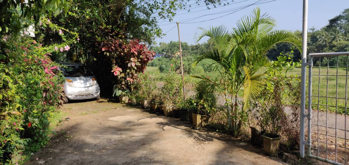 Photo of Outdoor in Majorda