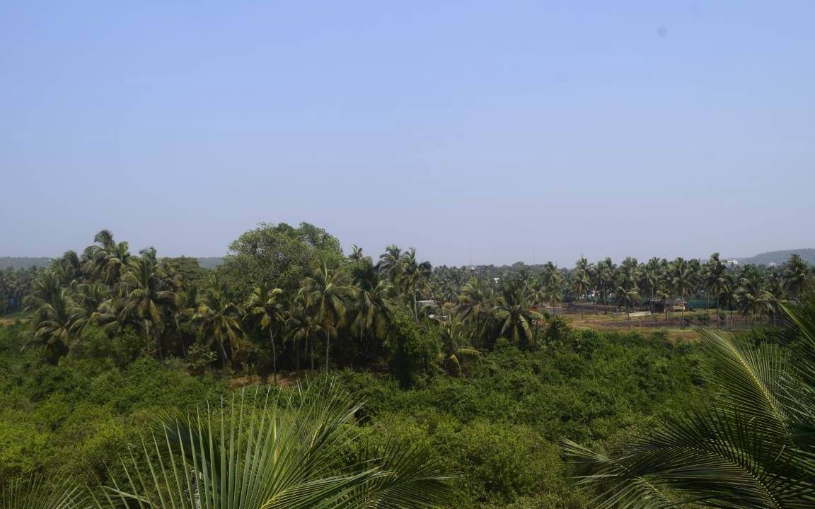 Photo of Others in Arambol