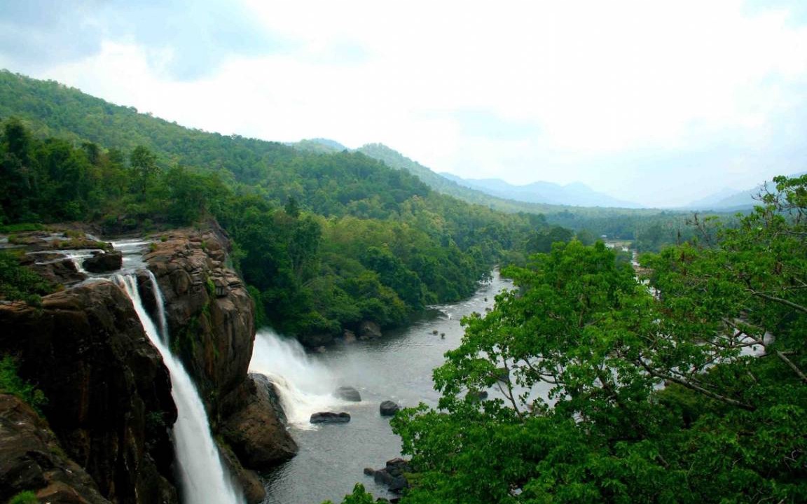 Photo of Others in Nedumbassery