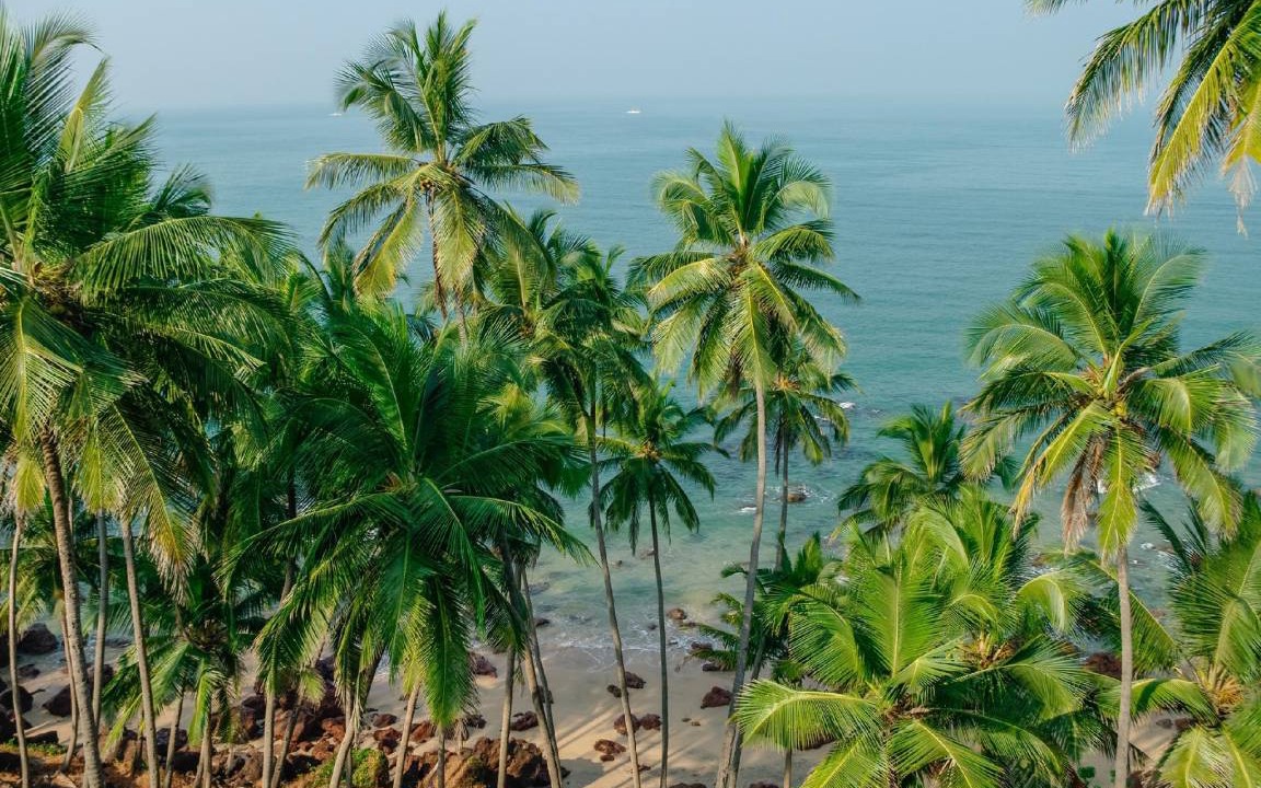 Photo of Others in Agonda