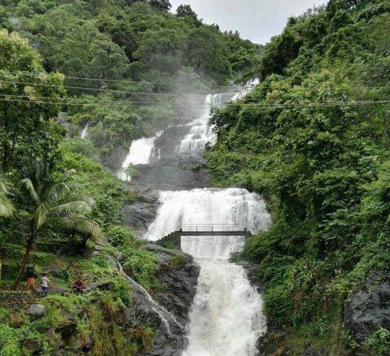 Photo of Others in Elappara