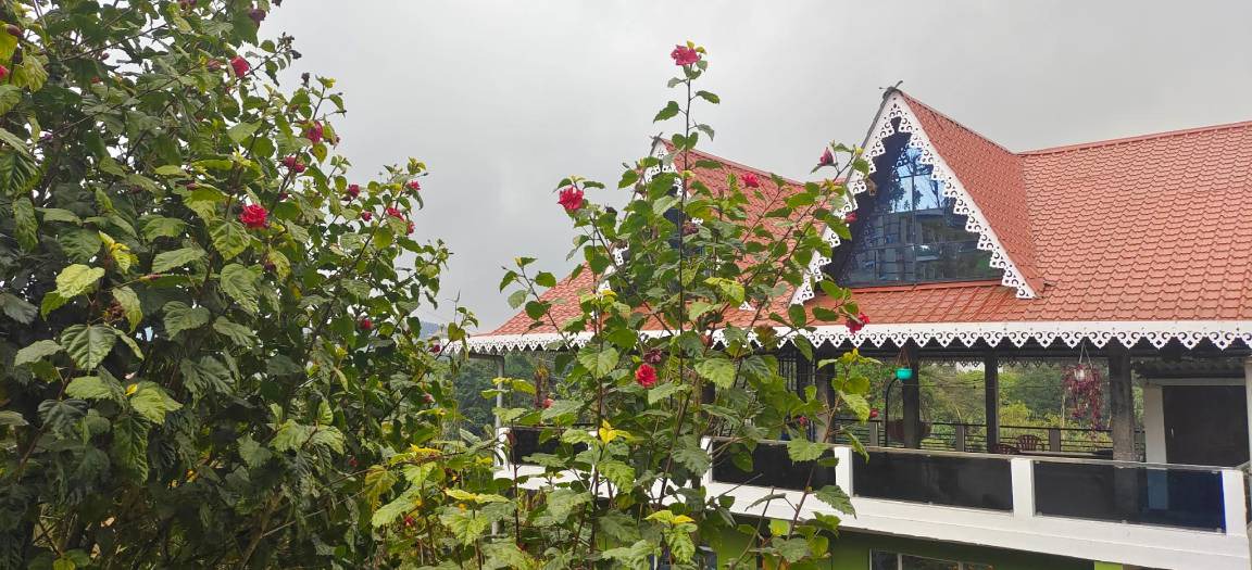 Photo of Others in Mirik