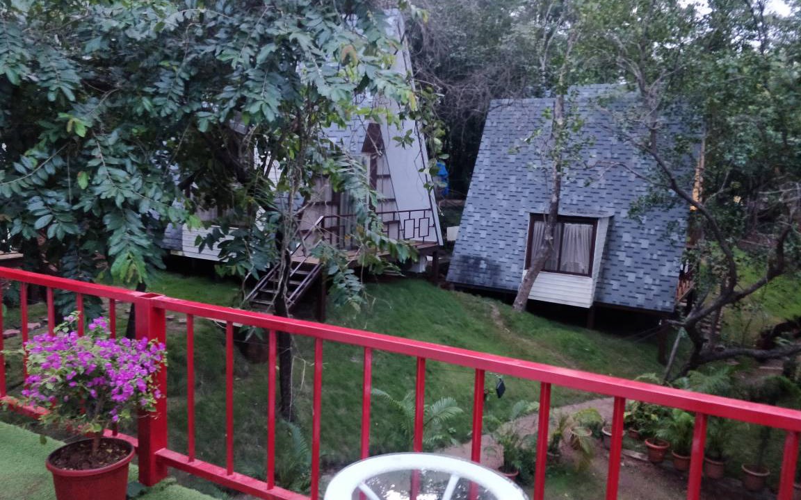 Photo of Others in Anjuna