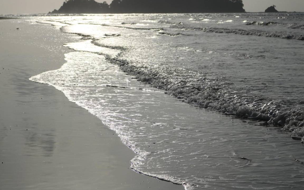 Photo of Others in North and Middle Andaman District