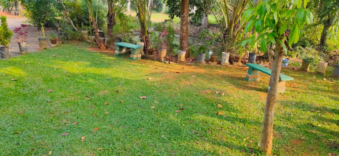 Photo of Outdoor in Arpookara