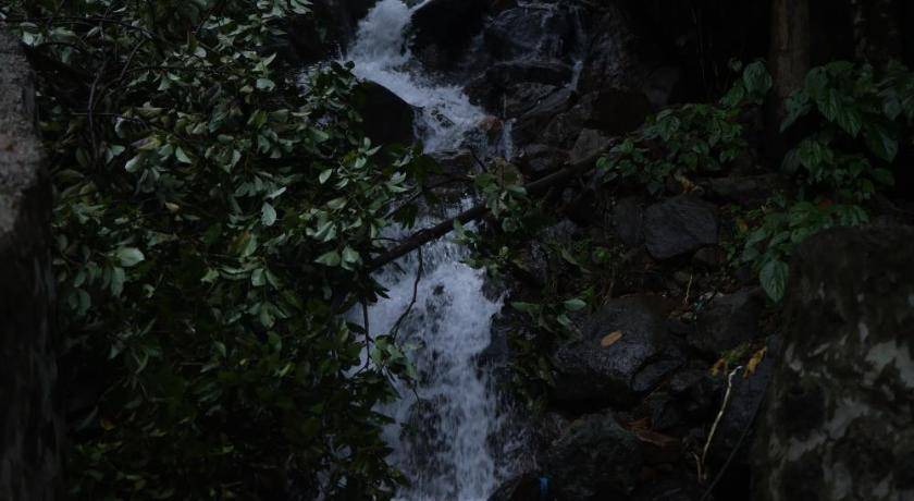 Photo of Others in Elappara