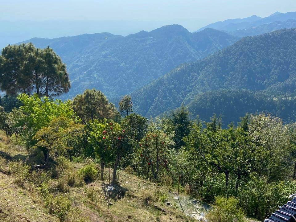 Photo of Outdoor in Mussoorie