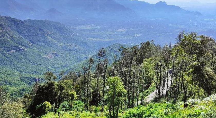Photo of Outdoor in Chinnakanal