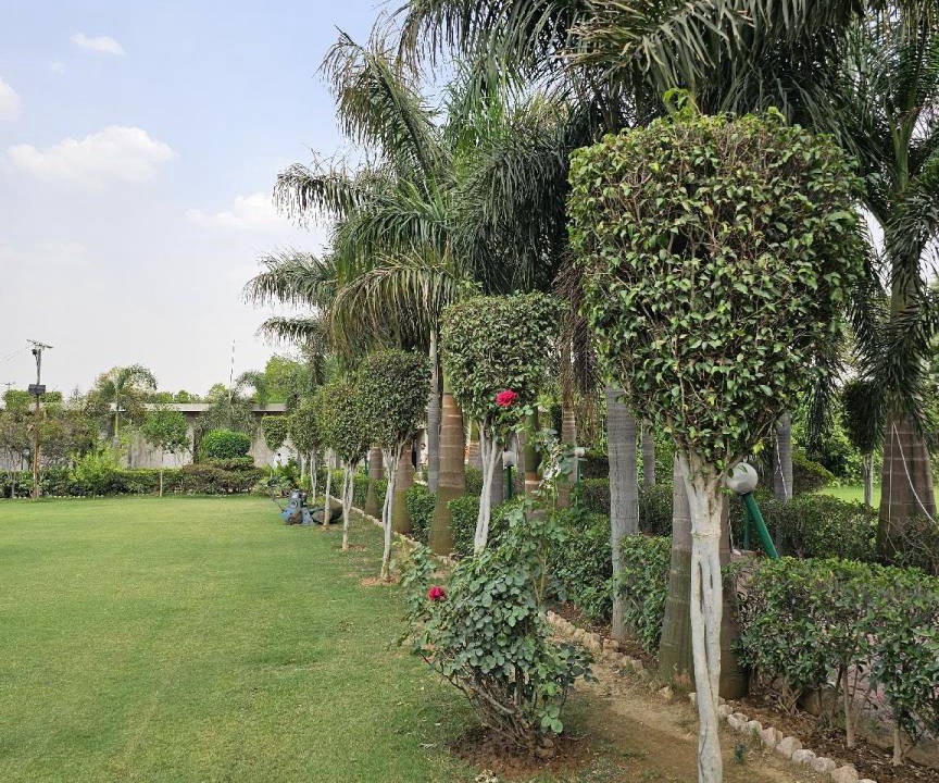 Photo of Others in Gurugram