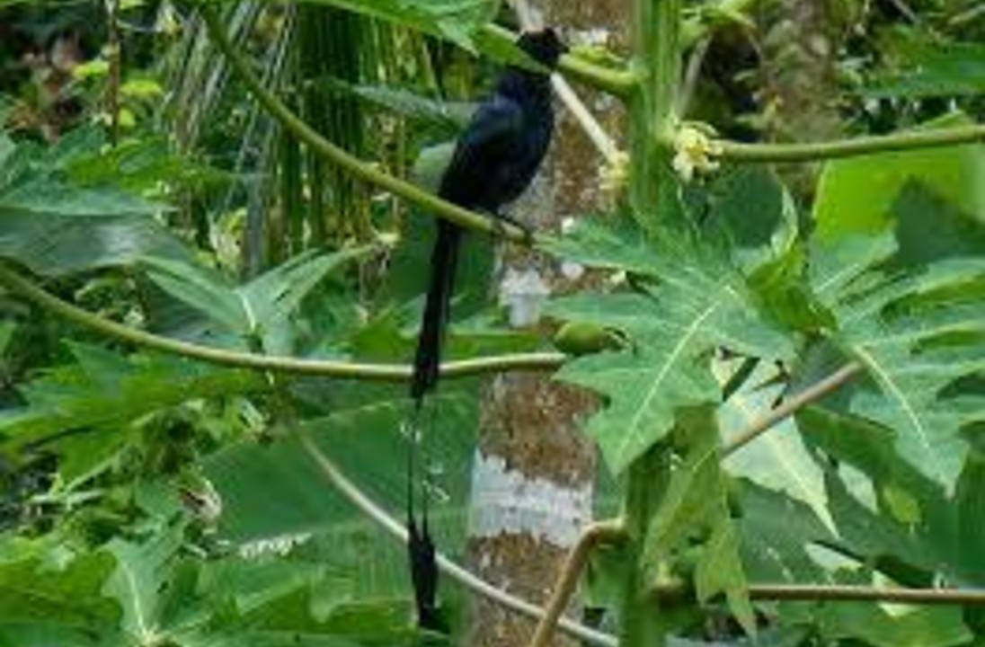Photo of Others in Vaikam