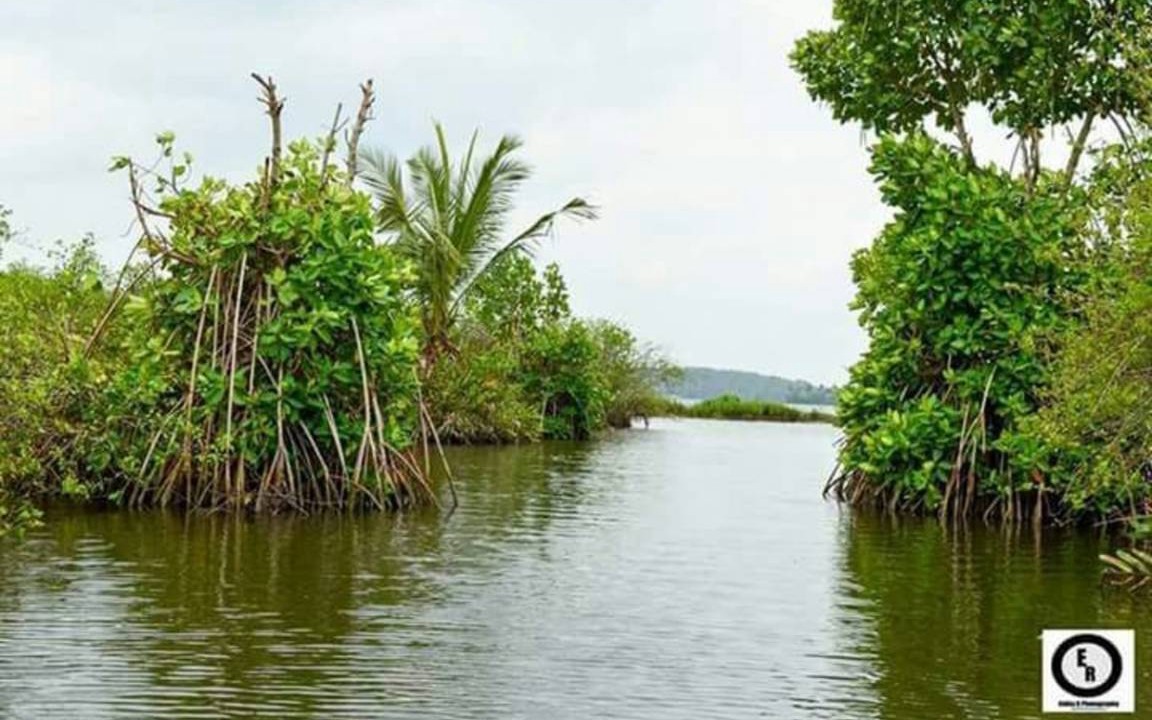 Photo of Others in Munroe Island