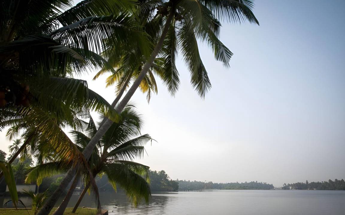 Photo of Others in Kumbalangi