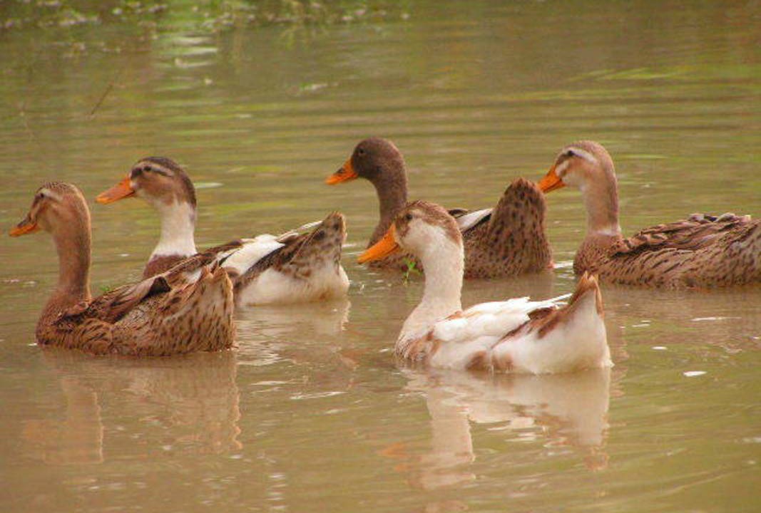Photo of Others in Kunnattur