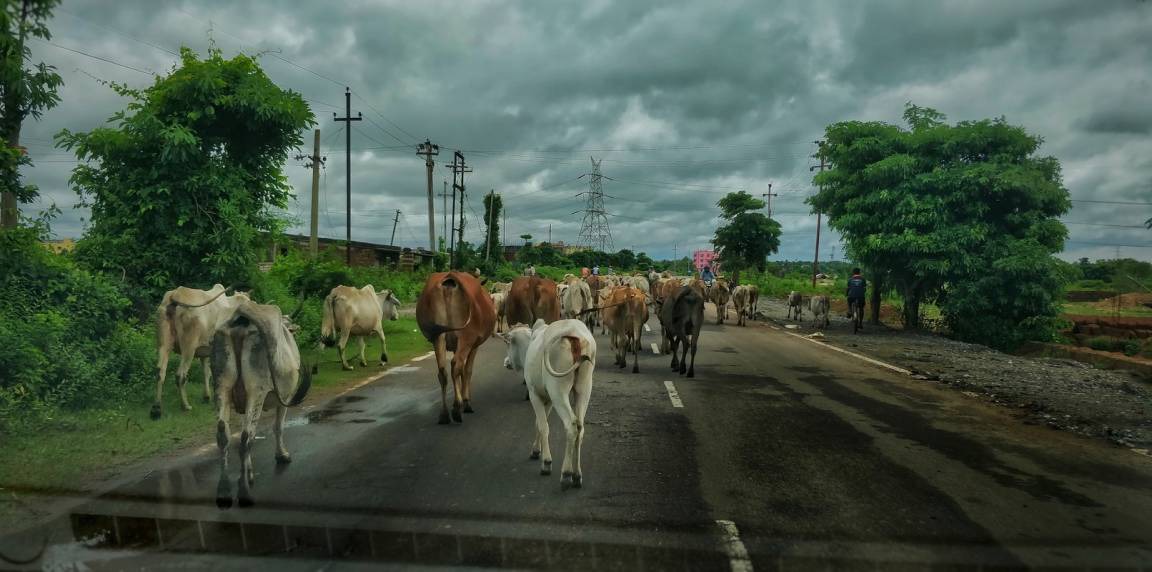Photo of Others in Chandaka