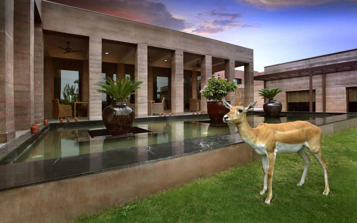 Photo of Others in Faridabad
