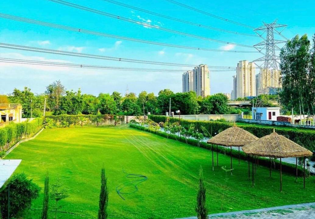 Photo of Others in Noida