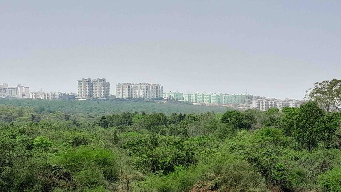 Photo of Others in Bhubaneshwar