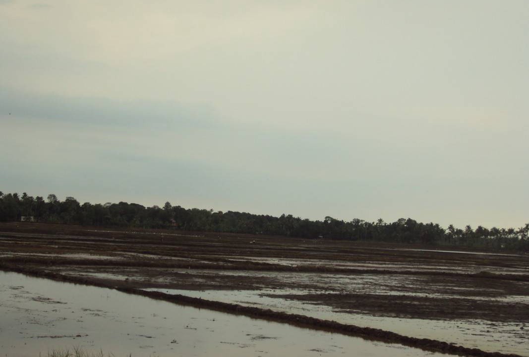 Photo of Others in Onamthuruth