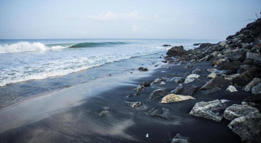 Photo of Others in Varkala