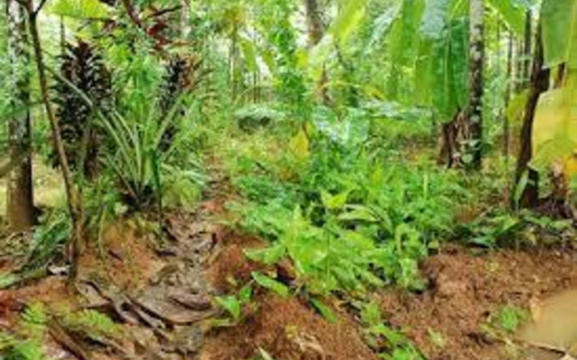 Photo of Others in Vaikam