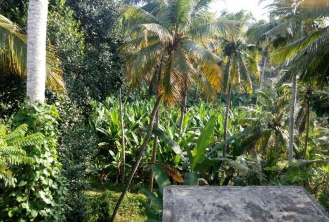 Photo of Others in Kazhakuttam