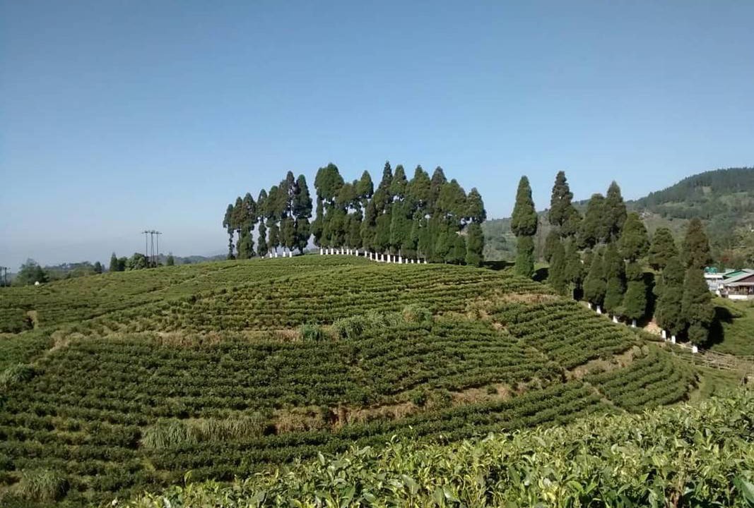 Photo of Others in Mirik