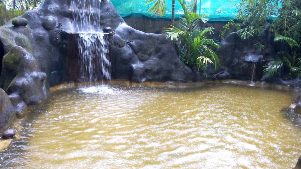Photo of Others in Kumbalam