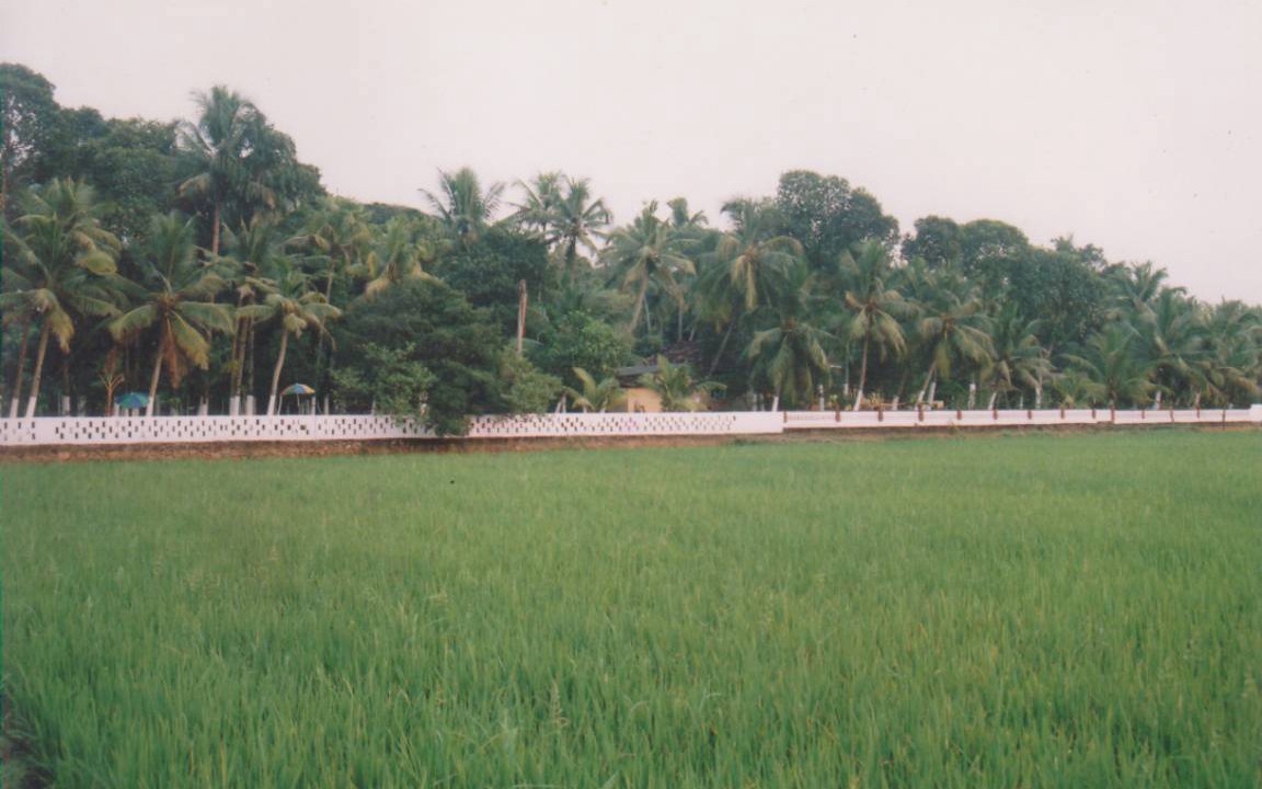 Photo of Others in Onamthuruth