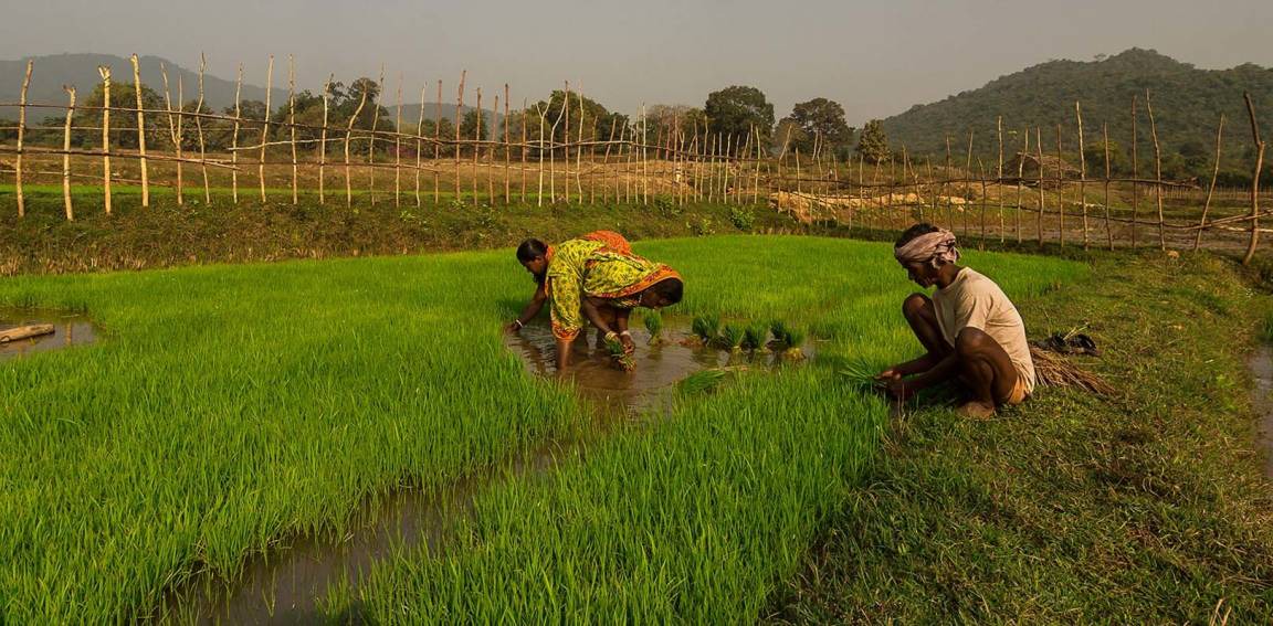 Photo of Others in Cuttack