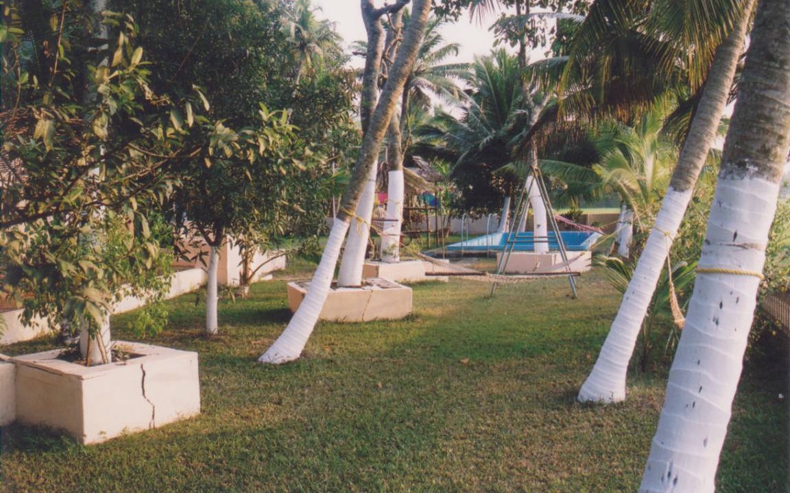 Photo of Others in Onamthuruth