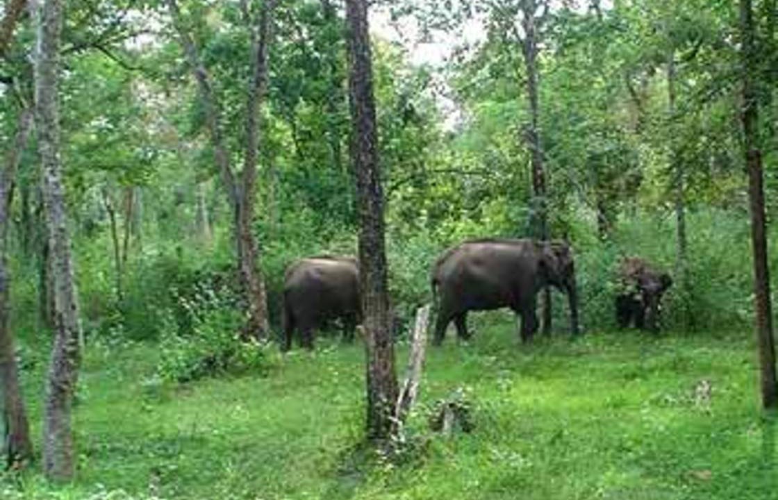 Photo of Others in Mullenkolly