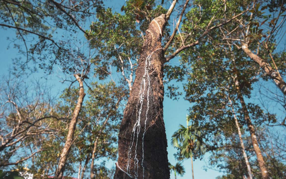 Photo of Outdoor in Anchal