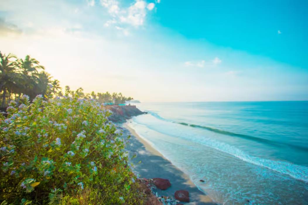 Photo of Others in Varkala