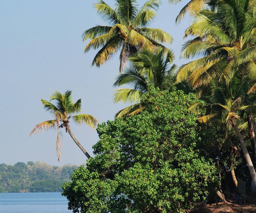 Photo of Others in Munroe Island